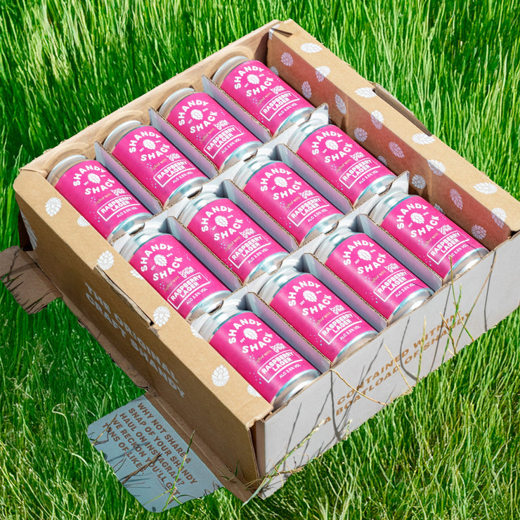 Raspberry Lager